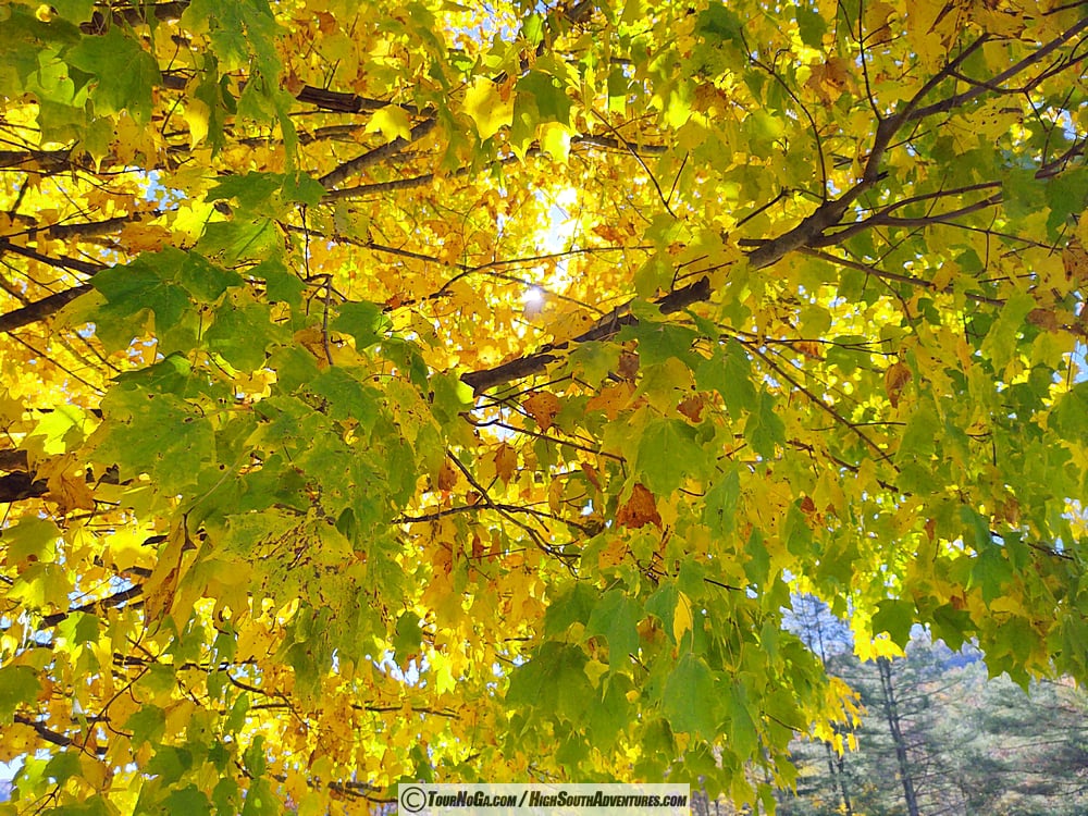 Fall in Cashiers NC