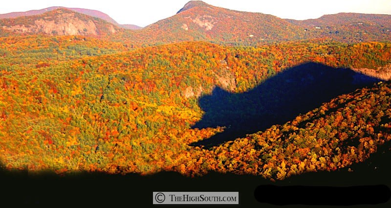 Shadow of the Bear Cashiers NC 